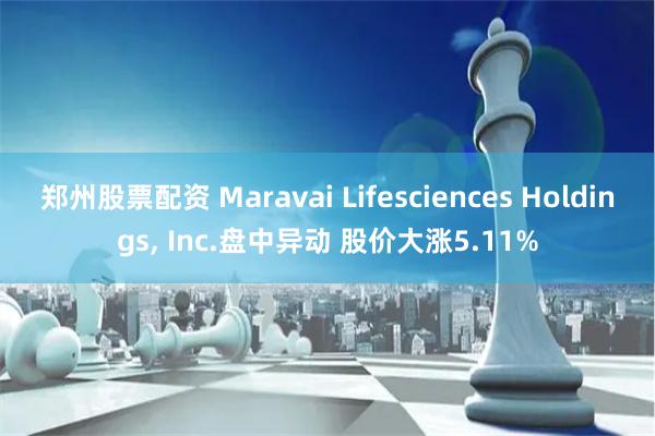 郑州股票配资 Maravai Lifesciences Holdings, Inc.盘中异动 股价大涨5.11%