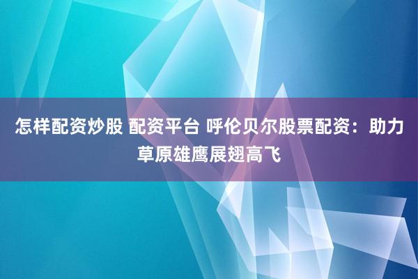 怎样配资炒股 配资平台 呼伦贝尔股票配资：助力草原雄鹰展翅高飞